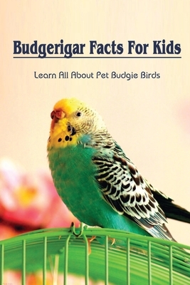 Budgerigar Facts For Kids: Learn All About Pet Budgie Birds: Types Of Budgerigars
