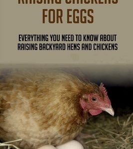 Raising Chickens For Eggs: Everything You Need To Know About Raising Backyard Hens And Chickens: Raising Chickens For Dummies
