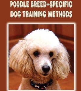 New And Improved Poodle Breed-Specific Dog Training Methods: Ultimate Guide To No More Poodle Poop: Poodle Training Guidebook