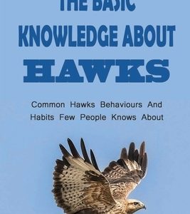 The Basic Knowledge About Hawks: Common Hawks Behaviours And Habits Few People Knows About: How To Know The Food Habits Of Hawks