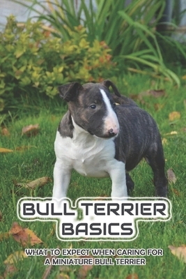 Bull Terrier Basics: What To Expect When Caring For A Miniature Bull Terrier: How To Train A Bull Terrier To Walk On A Leash