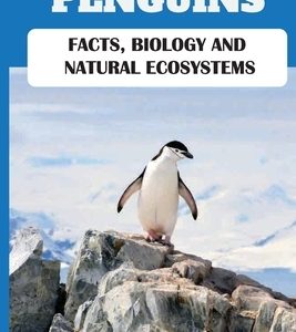 Penguins: Facts, Biology And Natural Ecosystems: Penguins Live In The Hot Or Cold Region