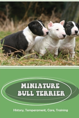 Miniature Bull Terrier: History, Temperament, Care, Training: How To Train A Bull Terrier Not To Bite