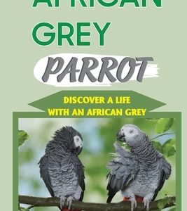 African Grey Parrot: Discover A Life With An African Grey: Surprising Facts About African Grey Parrots