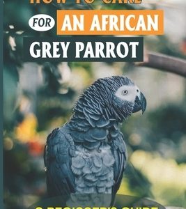 How To Care For An African Grey Parrot: A Beginner's Guide: Ways To Raise An African Grey Parrot