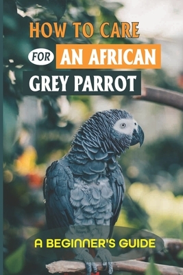 How To Care For An African Grey Parrot: A Beginner's Guide: Ways To Raise An African Grey Parrot
