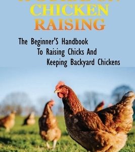 A Guide On Chicken Raising: The Beginner'S Handbook To Raising Chicks And Keeping Backyard Chickens: How To Set Up The Brooder To Raise Chickens