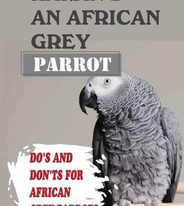 Raising An African Grey Parrot: Do's And Don'ts For African Grey Parrots: Ways To Raise An African Grey Parrot