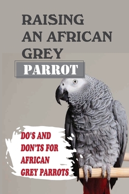 Raising An African Grey Parrot: Do's And Don'ts For African Grey Parrots: Ways To Raise An African Grey Parrot