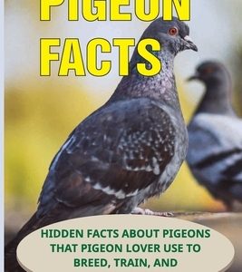 Pigeon Facts: Hidden Facts About Pigeons That Pigeon Lover Use To Breed, Train, And Race Their Pigeon: Pigeon Racing Facts