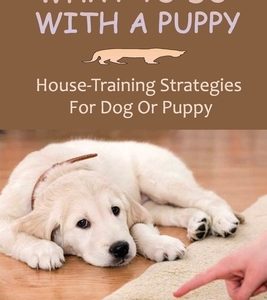 What To Do With A Puppy: House-Training Strategies For Dog Or Puppy: Potty Train A Puppy