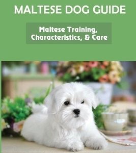 Maltese Dog Guide: Maltese Training, Characteristics, & Care: Alpha Dog For Maltese Dog