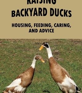Raising Backyard Ducks: Housing, Feeding, Caring, And Advice: Raising Ducks For Meat