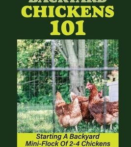 Backyard Chickens 101: Starting A Backyard Mini-Flock Of 2-4 Chickens And Get Fresh Eggs Every Day: How Do You Start Raising Backyard Chicken