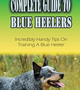 Complete Guide To Blue Heelers: Incredibly Handy Tips On Training A Blue Heeler: Blue Heeler Training Secrets