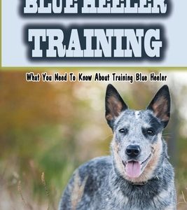 Blue Heeler Training: What You Need To Know About Training Blue Heeler: Blue Heeler Training Commands