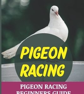 Pigeon Racing: Pigeon Racing Beginners Guide: Pigeon Racing For Beginners