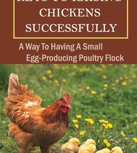 Keys To Raising Chickens Successfully: A Way To Having A Small Egg-Producing Poultry Flock: Methods For Setting Up Chickens Garden