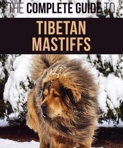 The Complete Guide to the Tibetan Mastiff: Finding, Raising, Training, Feeding, and Successfully Owning a Tibetan Mastiff