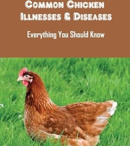 Common Chicken Illnesses & Diseases: Everything You Should Know: How To Treat Chicken Parasites