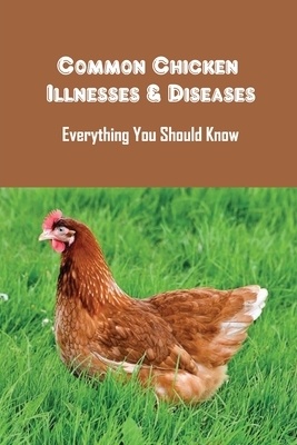 Common Chicken Illnesses & Diseases: Everything You Should Know: How To Treat Chicken Parasites
