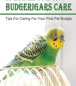 A Guidebook On Budgerigars Care: Tips For Caring For Your First Pet Budgie: Gudie On Budgerigars' Breeding