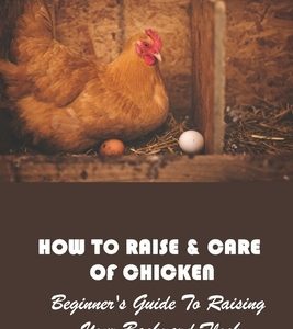 How To Raise & Care Of Chicken: Beginner's Guide To Raising Your Backyard Flock: Common Chicken Diseases And How To Treat Them