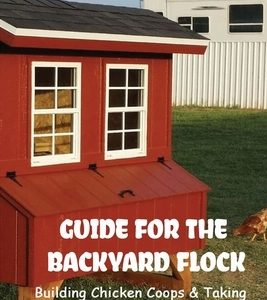 Guide For The Backyard Flock: Building Chicken Coops & Taking Care Of Them: Benefits Of Chicken Coops