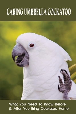 Caring Umbrella Cockatoo: What You Need To Know Before & After You Bring Cockatoo Home: Cockatoo Habitat And Environment