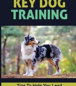Key Dog Training Tips To Help You Lead Your Australian Shepherd: Agility Training For Australian Shepherds