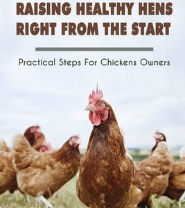 Raising Healthy Hens Right From The Start: Practical Steps For Chickens Owners: Chicken Health Issues
