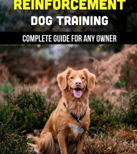 Starting Positive Reinforcement Dog Training: Complete Guide For Any Owner: Understanding Dog Body Language