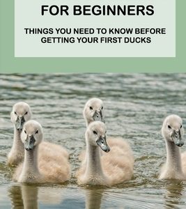 Raising Ducklings For Beginners: Things You Need To Know Before Getting Your First Ducks: The Right Food For Your Ducks