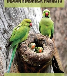 Indian Ringneck Parrots: Everything You Need To Know: Fun Facts About Indian Ringneck