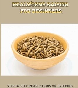 Mealworms Raising For Beginners: Step-By-Step Instructions On Breeding Mealworms: The Safest Method For Cleaning Your Mealworm Bins
