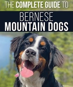 The Complete Guide to Bernese Mountain Dogs: Selecting, Preparing For, Training, Feeding, Socializing, and Loving Your New Berner Puppy