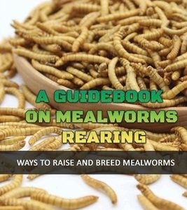 A Guidebook On Mealworms Rearing: Ways To Raise And Breed Mealworms: How To Prevent Invaders From Harming Your Mealworms Colony