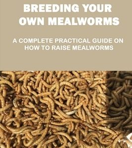 Breeding Your Own Mealworms: A Complete Practical Guide On How To Raise Mealworms: What Supplies You Need And Where To Find Mealworms