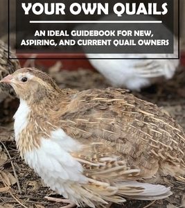 Keys To Raising Your Own Quails: An Ideal Guidebook For New, Aspiring, And Current Quail Owners: Methods For Quails Raising