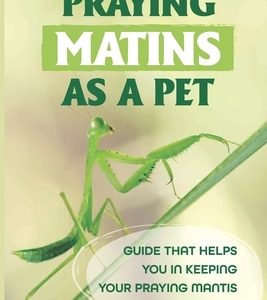 Praying Matins As A Pet: Guide That Helps You In Keeping Your Praying Mantis Happy And Healthy: What To Feed Praying Mantis
