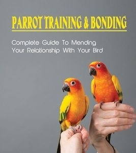 Parrot Training & Bonding: Complete Guide To Mending Your Relationship With Your Bird: Bird Pet Care Books