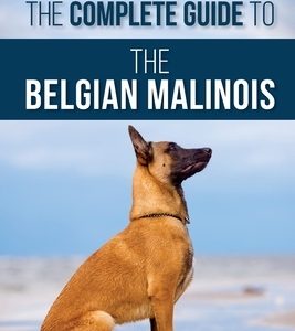 The Complete Guide to the Belgian Malinois: Selecting, Training, Socializing, Working, Feeding, and Loving Your New Malinois Puppy