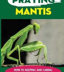 Praying Mantis: How To Keeping And Caring For A Praying Mantis As A Pet: Can You Breed Mantis?