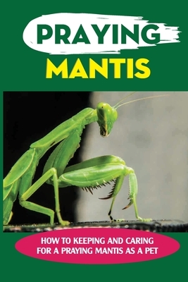 Praying Mantis: How To Keeping And Caring For A Praying Mantis As A Pet: Can You Breed Mantis?