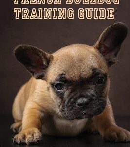 French Bulldog Training Guide: Methods To Train French Bulldog: French Bulldog Dog Breed Information