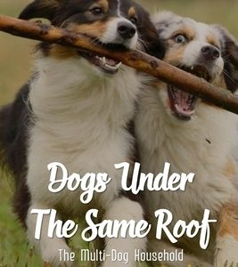 Dogs Under The Same Roof: The Multi-Dog Household Techniques And Methods: Ways To Keep Dogs In The Same House From Fighting