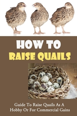 How To Raise Quails: Guide To Raise Quails As A Hobby Or For Commercial Gains: How Do I Start Quail Farming?