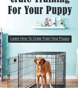 Crate Training For Your Puppy: Learn How To Crate Train Your Puppy: How To Potty Train A Puppy With A Crate