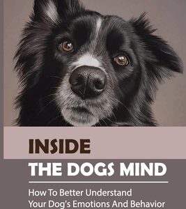 Inside The Dogs Mind: How To Better Understand Your Dog's Emotions And Behavior: What Are Dog Senses