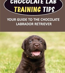 Chocolate Lab Training Tips: Your Guide To The Chocolate Labrador Retriever: Labrador Obedience Training